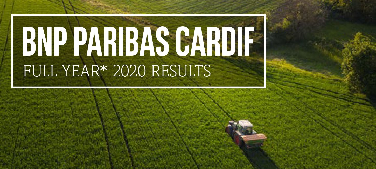 Block "BNP Paribas Cardif Full-Year 2020 Results" auf einer grünen Wiese in Vogelperspektive