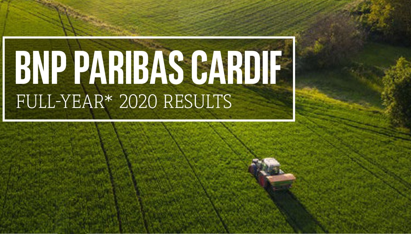Block "BNP Paribas Cardif Full-Year 2020 Results" auf einer grünen Wiese in Vogelperspektive